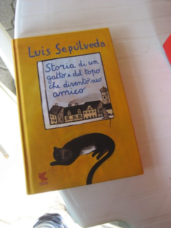 LETTURA DI ANGELA